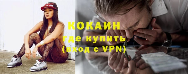 твердый Бронницы