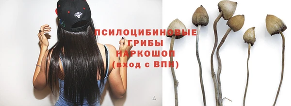 твердый Бронницы