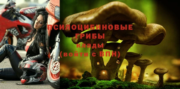 твердый Бронницы