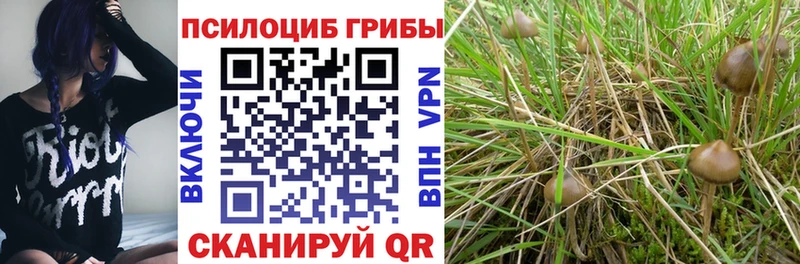 Галлюциногенные грибы Psilocybe MEGA зеркало Барнаул