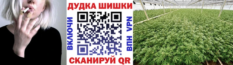 мега ТОР  Барнаул  Марихуана конопля 